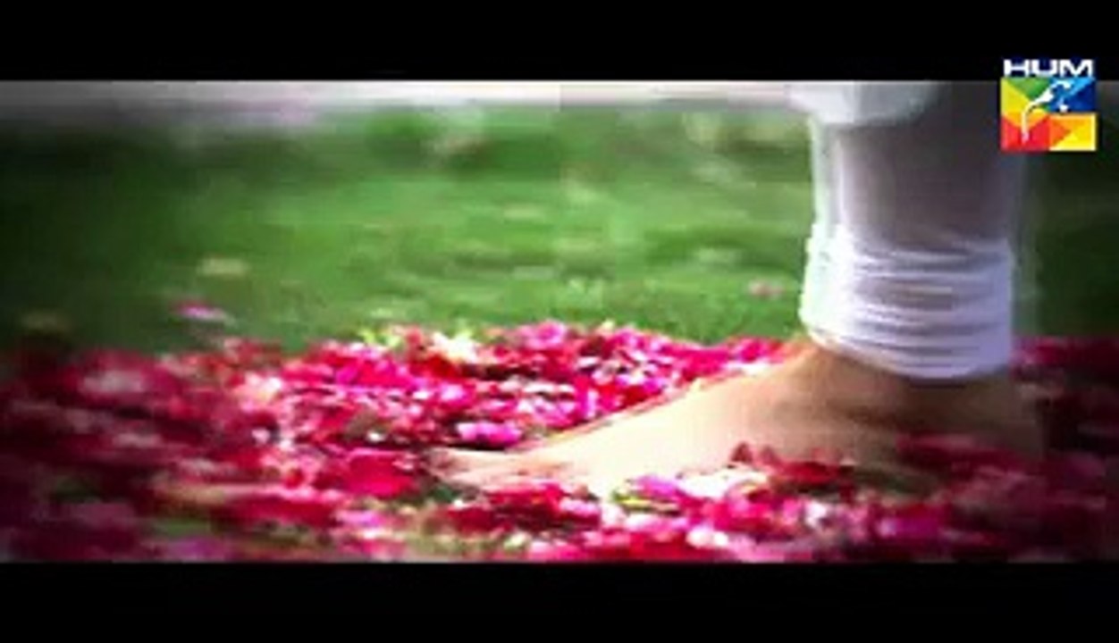 Akeli OST - HD Vedio Full Title Song New Drama [2015] - Hum Tv - Video Dailymotion