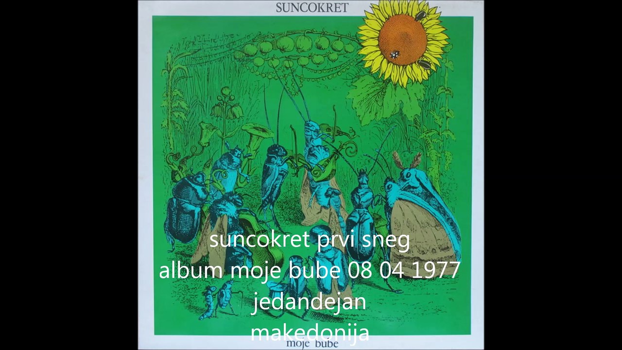 Suncokret -11 prvi sneg jd