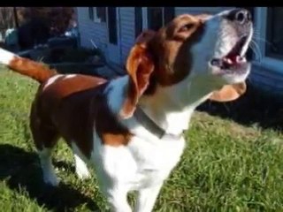 A Mis Enemigos Valentin Elizalde