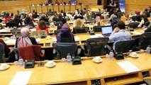 Entrepreneurial Challenges of New European Women
