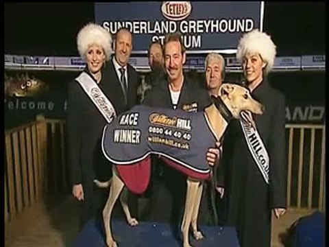 Greyhound Racing - The Dogs - Graham Hutt