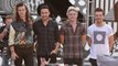 One Direction Split To Focus On Solo Projects