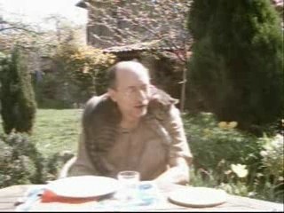 Berceuse pour chat gris