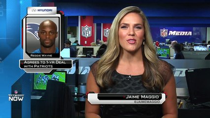 Reggie Wayne agrees to one-year deal with Patriots