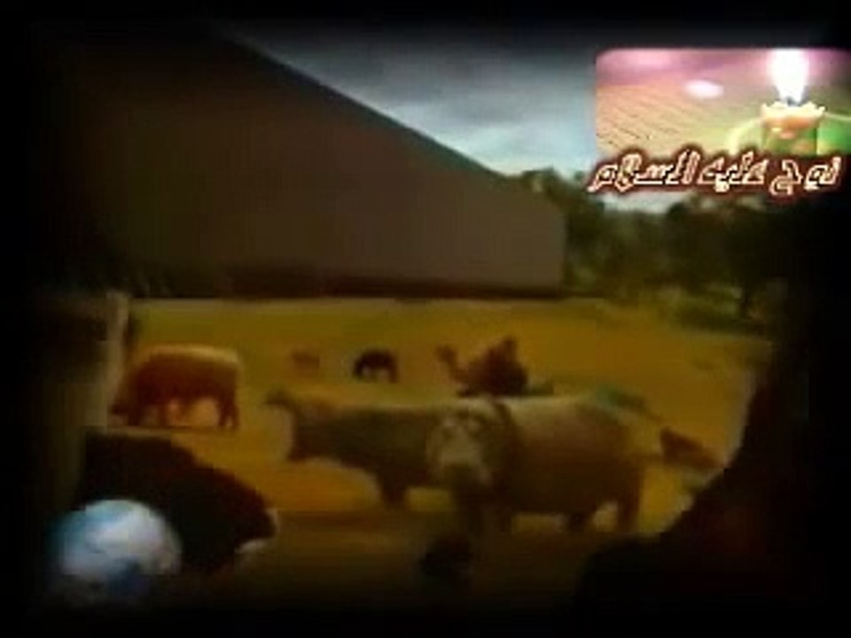 سفينه سيدنا نوح عليه السلام المقطع ادهش الملايين