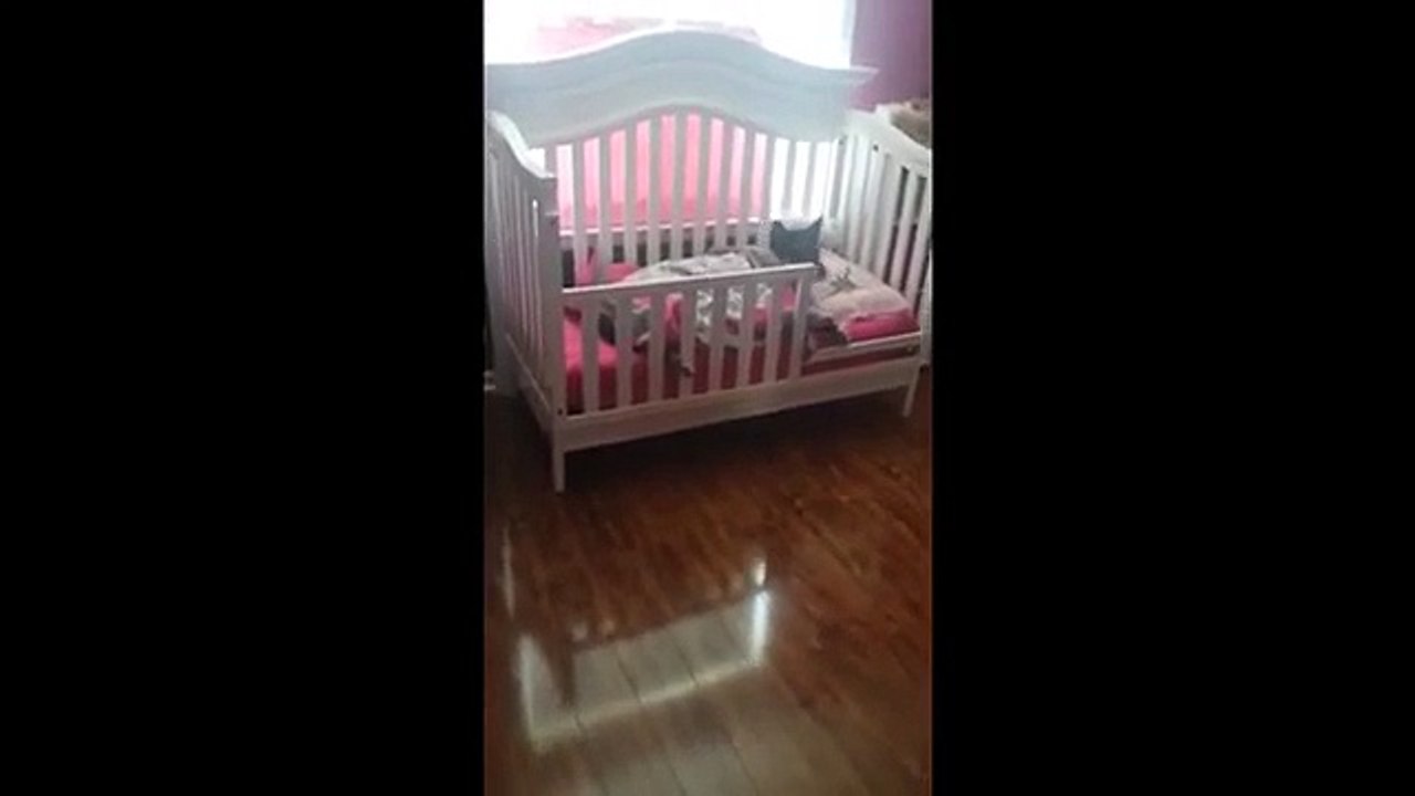 Así es com una niña duerme con su perro mascota en la cuna