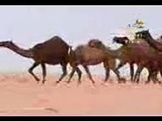 منقية نايف بن غتار.3gp