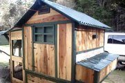 Raising Chickens~ Week 6 Time For The Big Chicken Coop.wmv