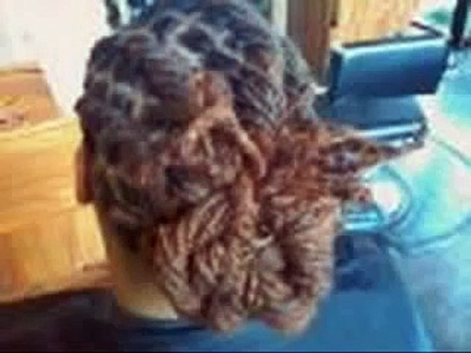 Natural Hair and Dreadlock Styles