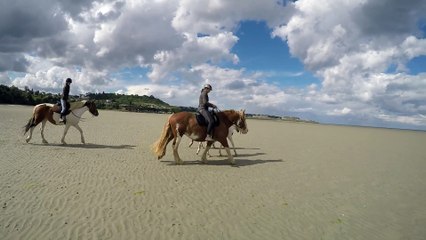 Pouliches plage 2015