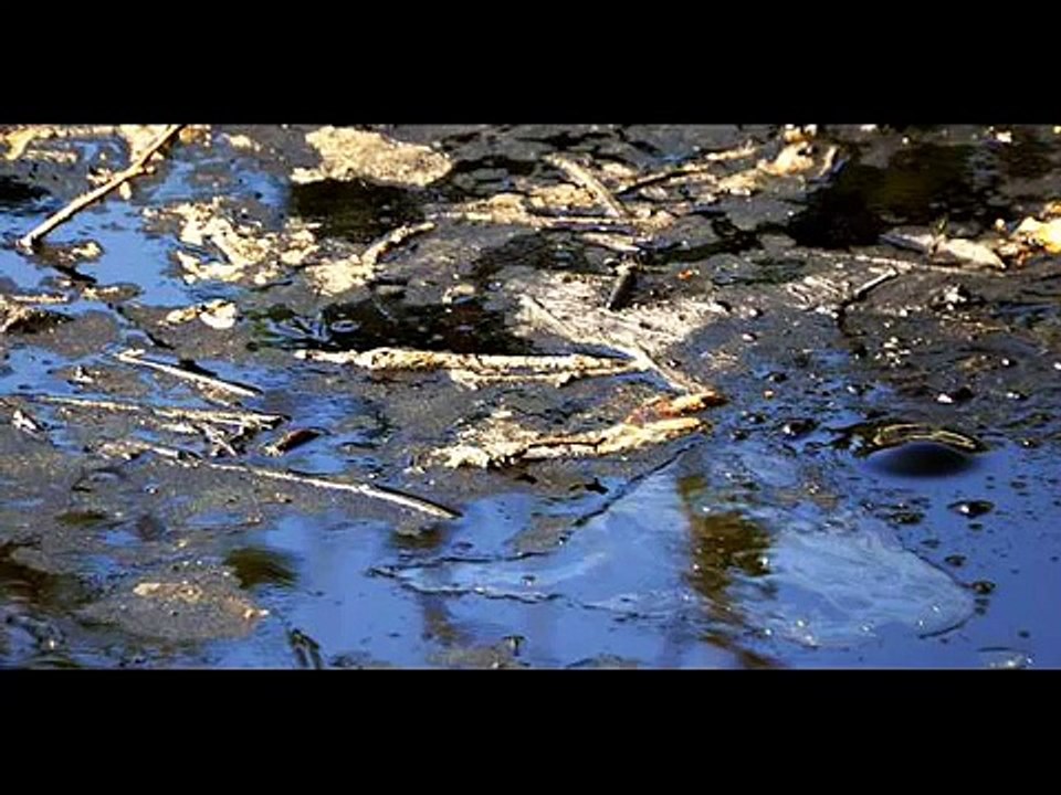 La Brea Tar Pits - Pico and Sepulveda - Los Angeles, California