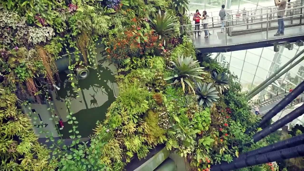 Trip to Singapore 2014 (Marina Bay and River Safari)