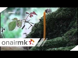 Prikazna po Prikazna INTV Australia