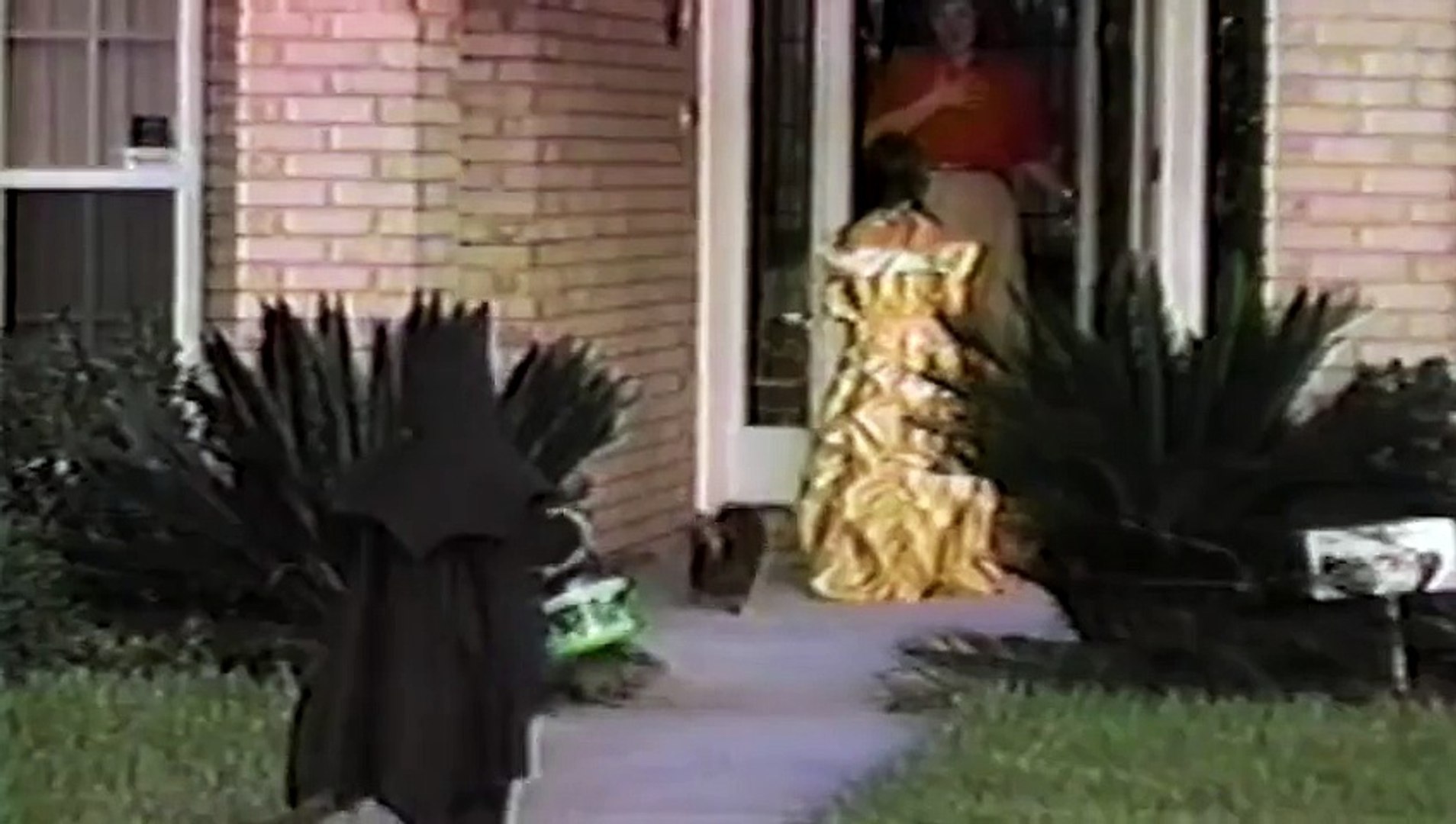 Celebrity Host Auditions - America's Funniest Home Videos