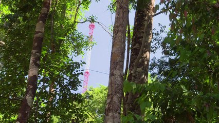 Brasil tem o mais alto observatório do clima no mundo