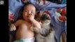 Кот, который обожает новорожденного малыша!