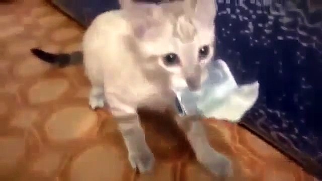 Когда не хочешь отдавать долг