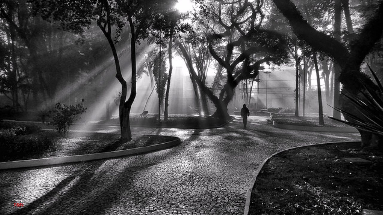 Samvel Yervinyan - Three leaf Clover - Piano & Violin -