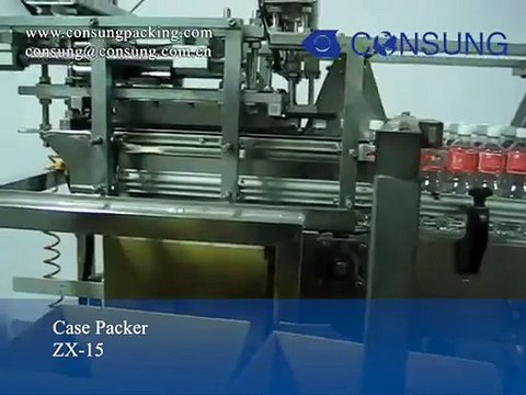 Automatic mineral water bottle carton packing machine