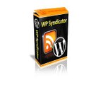 Wordpress Link Building Software - Social Network Backlinks Syndication Plugin