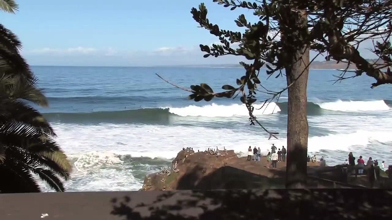 Big Wave Surfing at La Jolla Cove
