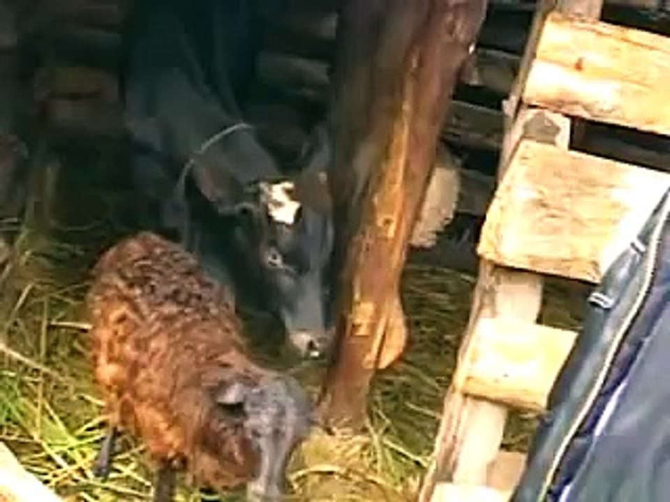 Pastor Joel in Burundi