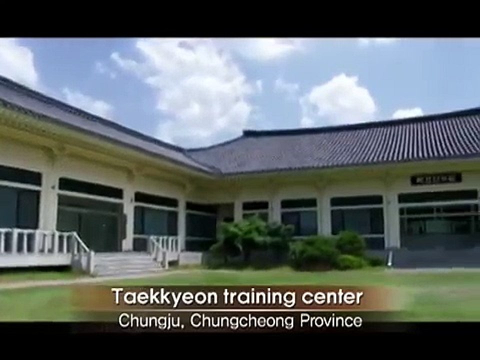 Taekkyeon, a traditional Korean martial art