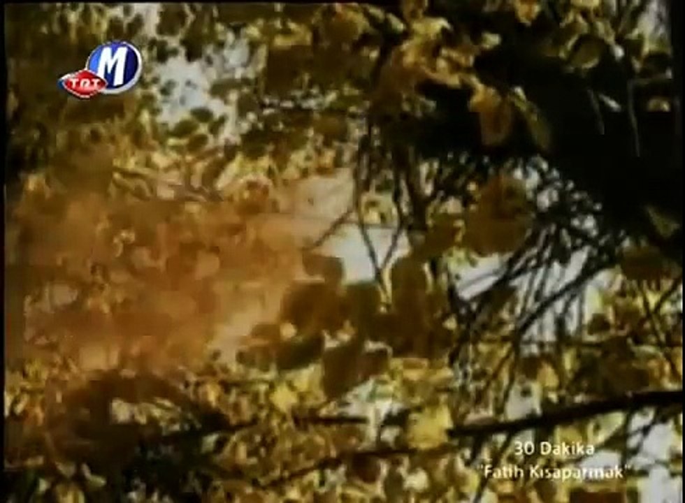 Fatih Kisaparmak - Keki Eyvah