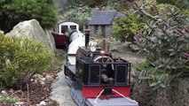 Narrow Gauge Mixed Traffic - Live Steam Garden Railways