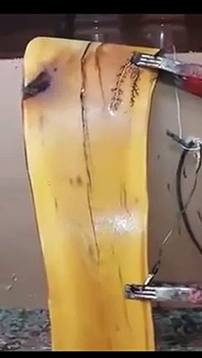 current banana shale