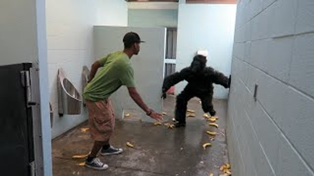Escaped Gorilla Bathroom Prank!