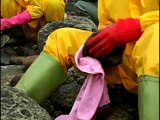 US helps with oil spill in Korea