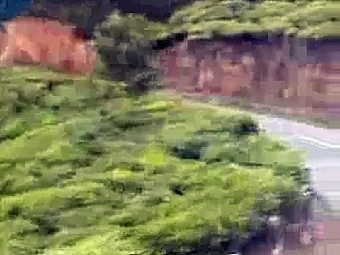 Munnar, Kerala - God's Own Paradise(ipad)