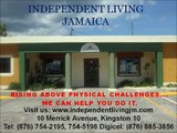 Vacation Travel Jamaica Go-Go Scooter (Pride) Independent Living Jamaica