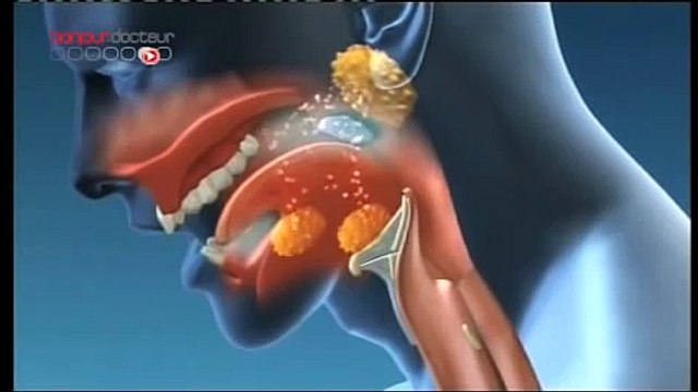 La digestion et les excréments