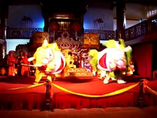 Traditional Vietnamese Dragon Dance