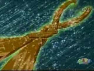 Flora enchantix transformation eng