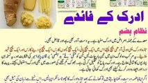 Adrak Kay Fawaed-----Benefits of Ginger