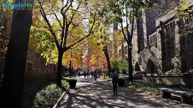 Life Organized: Tips to Organize Your Kid’s College Dorm Room with Barbara Reich.