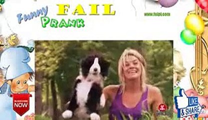Funny Stuffed Dog Attacks Real Dog SEbb1tl5Qbk