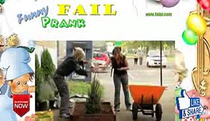 Funny Super Quick Growing Christmas Tree   Gagstravaganza Day 12 LPalr05DBpQ