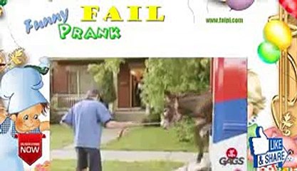 Funny Throwback Thursday   Donkey Delivery Prank R4aN9jvjPZE