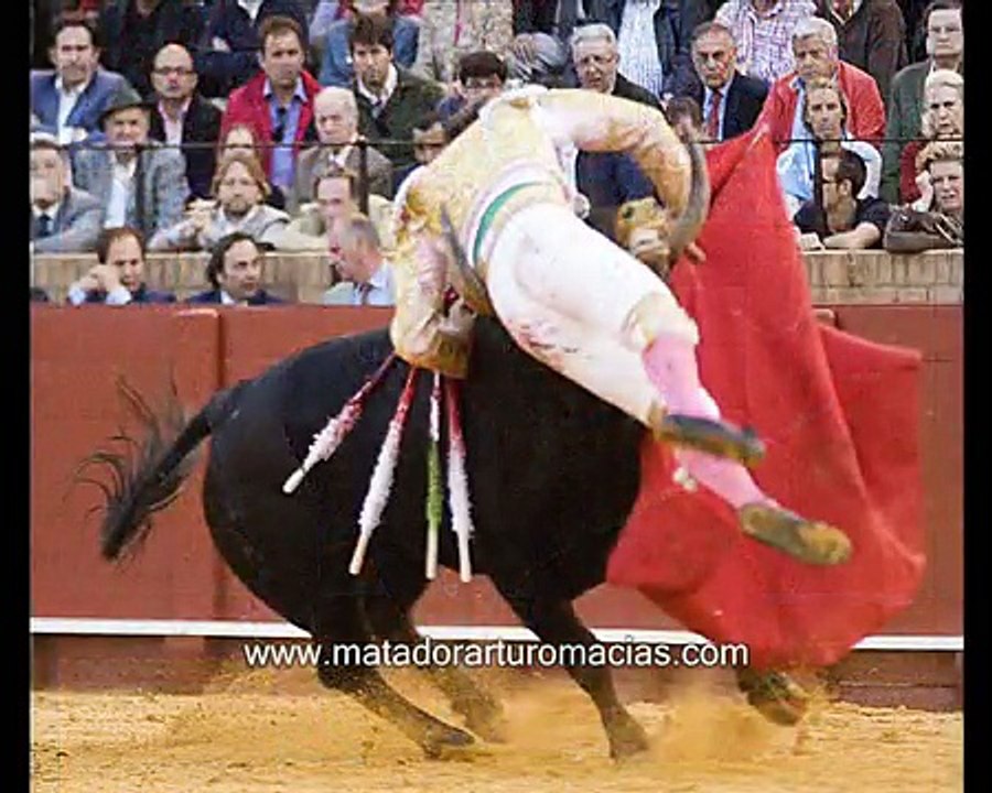 Cornada a Arturo Macías en Sevilla y declaraciones del Dr. Ramón Vila