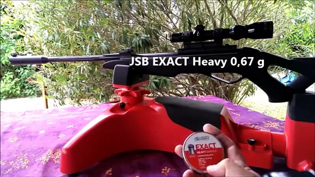 Survivalisme et carabine à air comprimé.