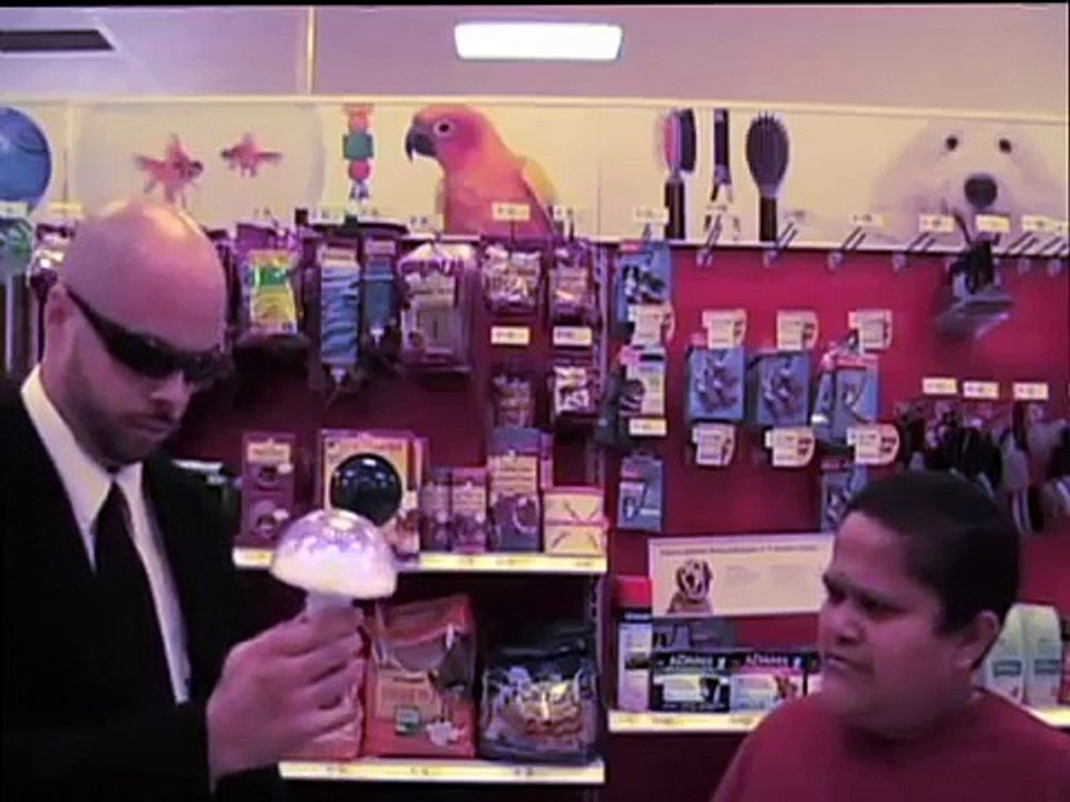 The Best Of Edbassmaster (PART 1)