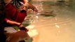 Eu tocando uma arraia no aquario de Genova 04.03.07