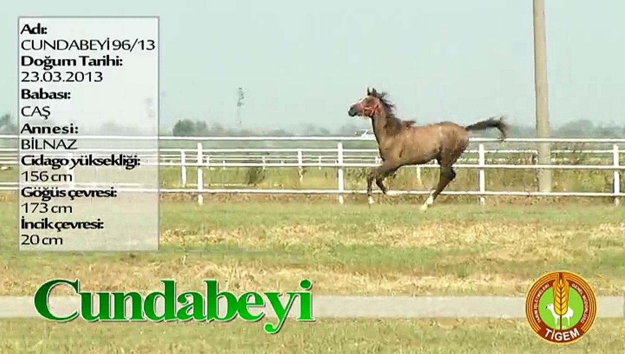 CUNDABEYİ