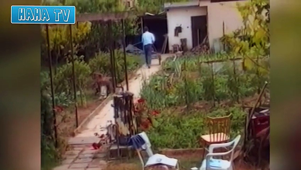Funny Vine Compilation 2014 Best Funny Video Clips