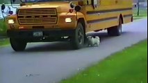No, i don't want you to go to school...--by Funny Videos Collection