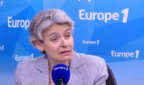Les destructions à Palmyre, un «nettoyage culturel» affirme la directrice de l'Unesco